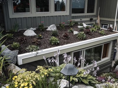 Residential Roof Garden