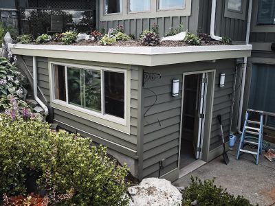 Residential Roof Garden